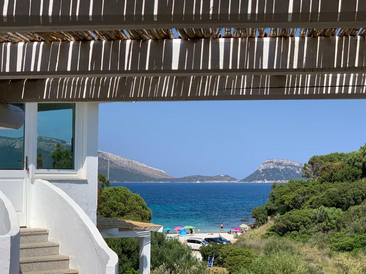 Villa Aranzos Golfo Aranci Bagian luar foto