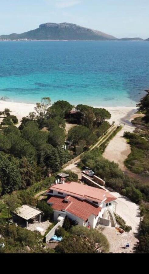 Villa Aranzos Golfo Aranci Bagian luar foto