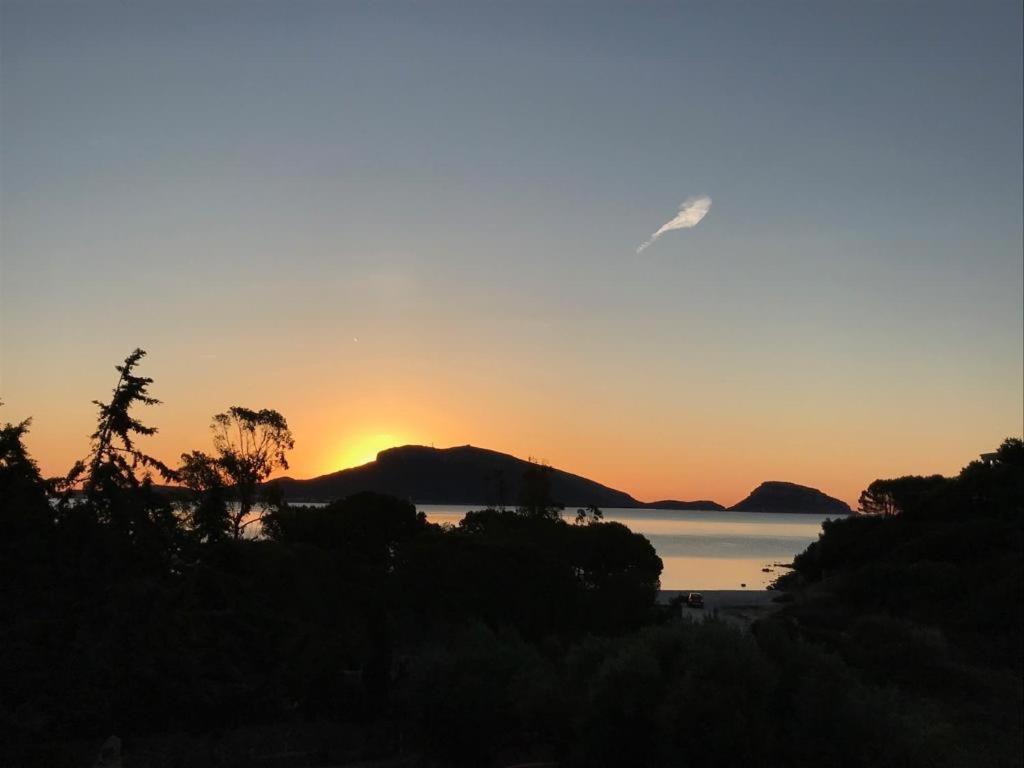 Villa Aranzos Golfo Aranci Bagian luar foto