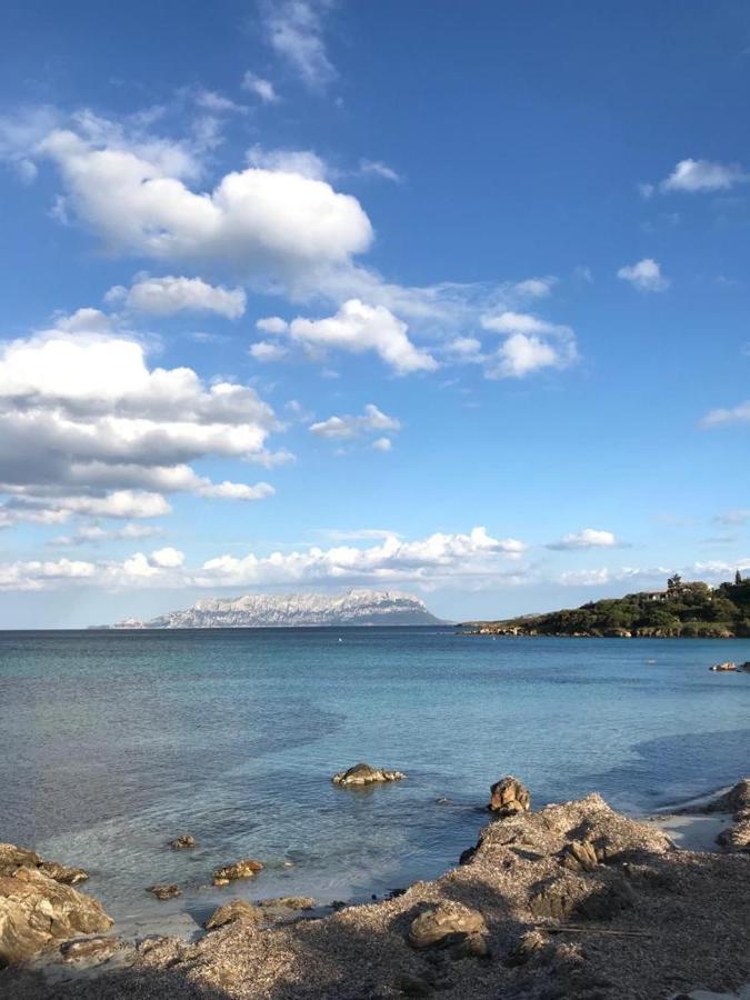 Villa Aranzos Golfo Aranci Bagian luar foto